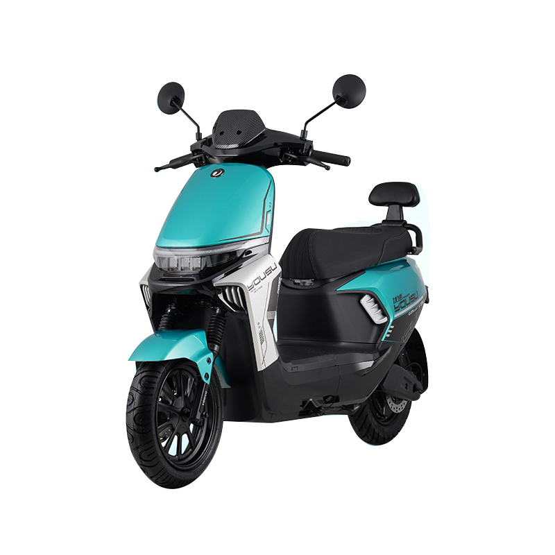 How weather-resistant is the Turtle Model Electric Scooter, particularly against rain, dust, or extreme temperatures?