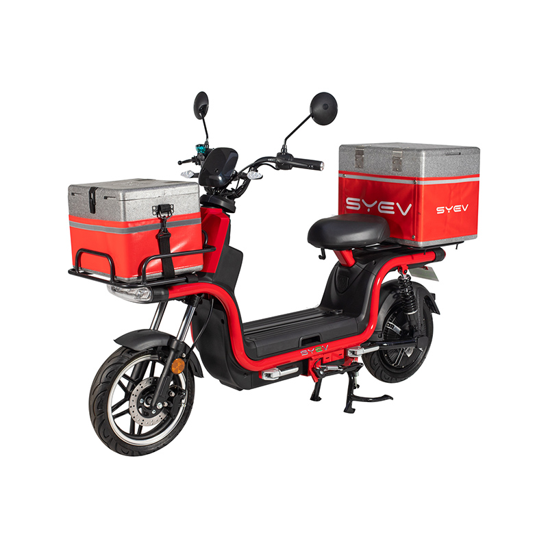 How modular is the design of this Light Electric Bicycle?